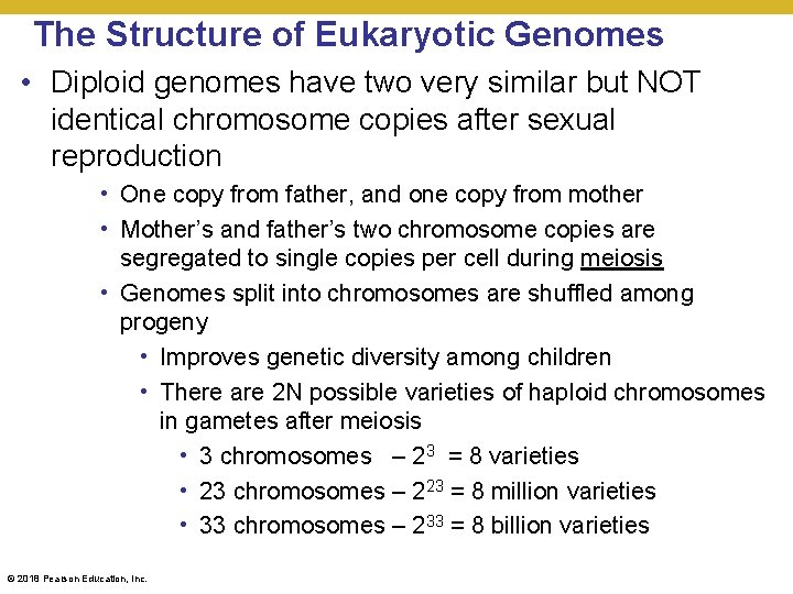 The Structure of Eukaryotic Genomes • Diploid genomes have two very similar but NOT