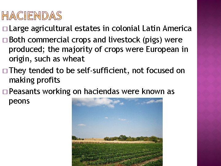 � Large agricultural estates in colonial Latin America � Both commercial crops and livestock