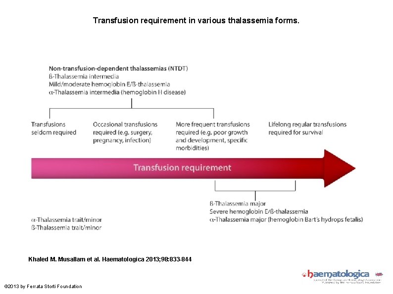 Transfusion requirement in various thalassemia forms. Khaled M. Musallam et al. Haematologica 2013; 98: