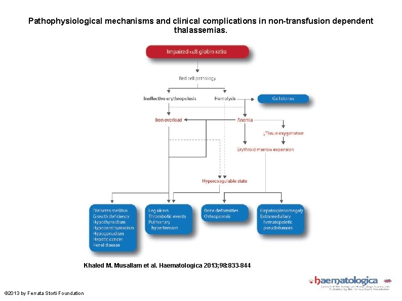 Pathophysiological mechanisms and clinical complications in non-transfusion dependent thalassemias. Khaled M. Musallam et al.