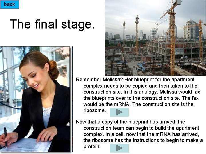 back The final stage. Remember Melissa? Her blueprint for the apartment complex needs to
