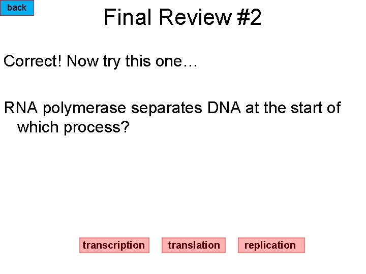 back Final Review #2 Correct! Now try this one… RNA polymerase separates DNA at