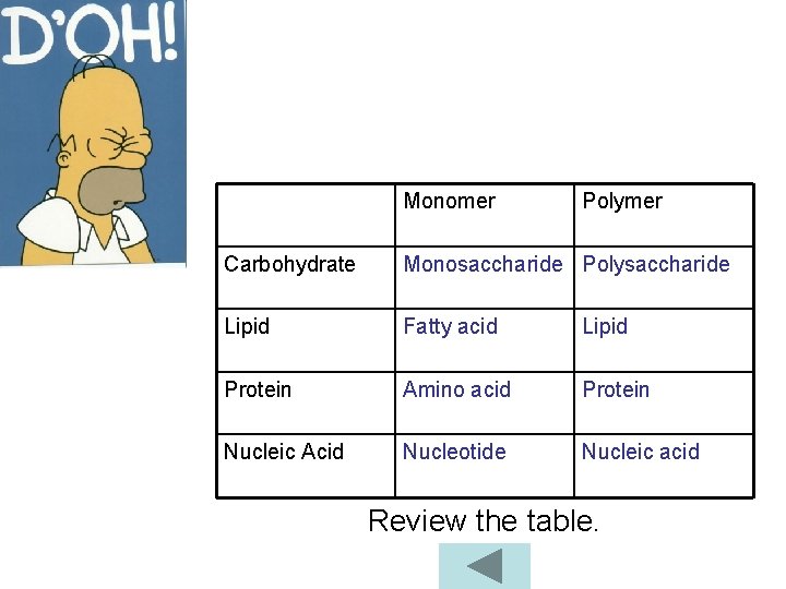Monomer Polymer Carbohydrate Monosaccharide Polysaccharide Lipid Fatty acid Lipid Protein Amino acid Protein Nucleic