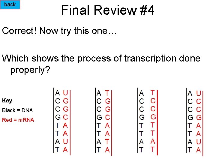 back Final Review #4 Correct! Now try this one… Which shows the process of