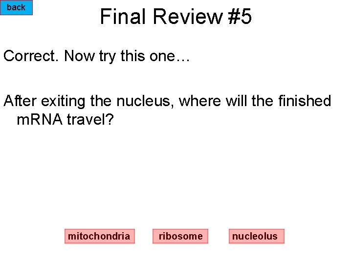 back Final Review #5 Correct. Now try this one… After exiting the nucleus, where