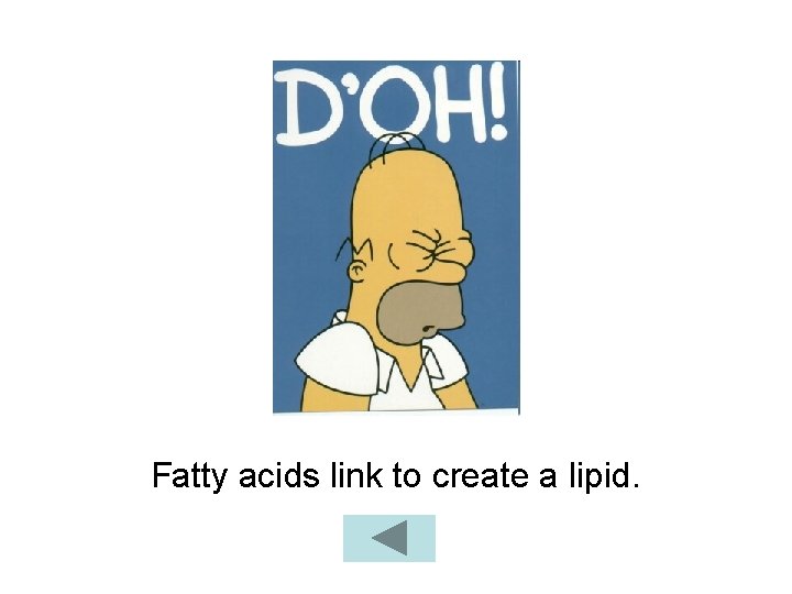 Fatty acids link to create a lipid. 