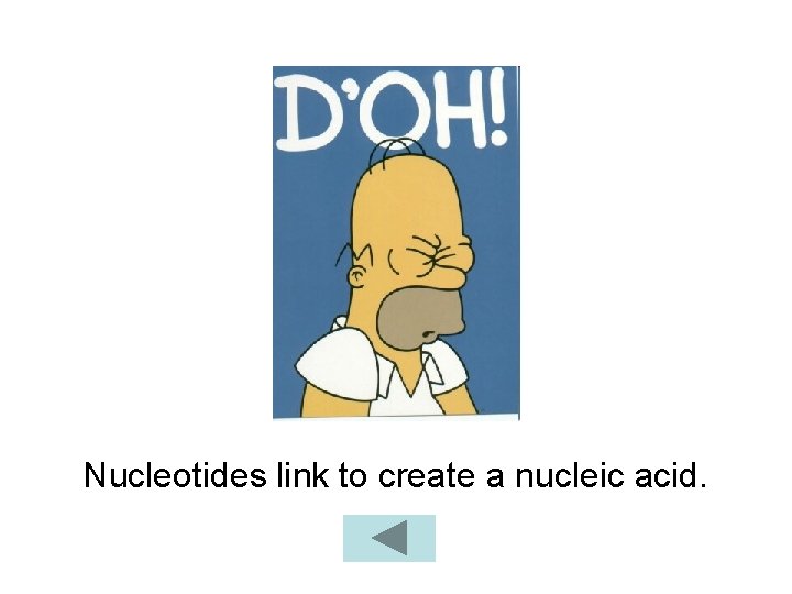 Nucleotides link to create a nucleic acid. 