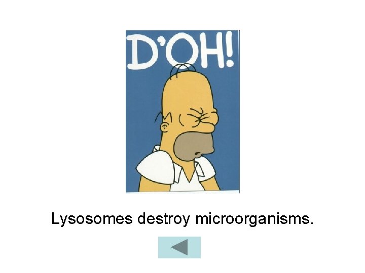 Lysosomes destroy microorganisms. 