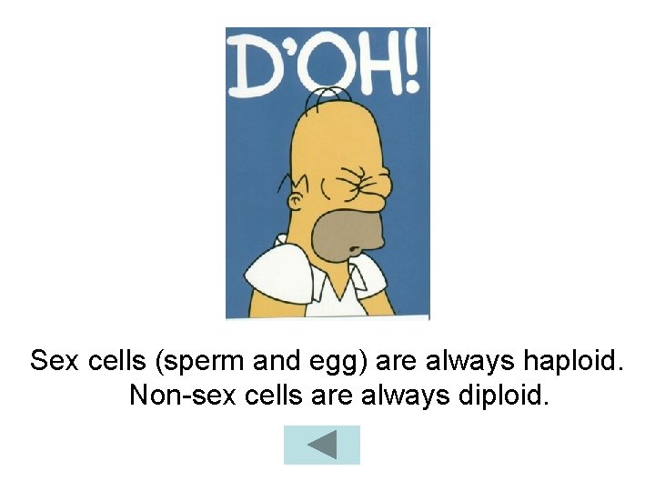 Sex cells (sperm and egg) are always haploid. Non-sex cells are always diploid. 