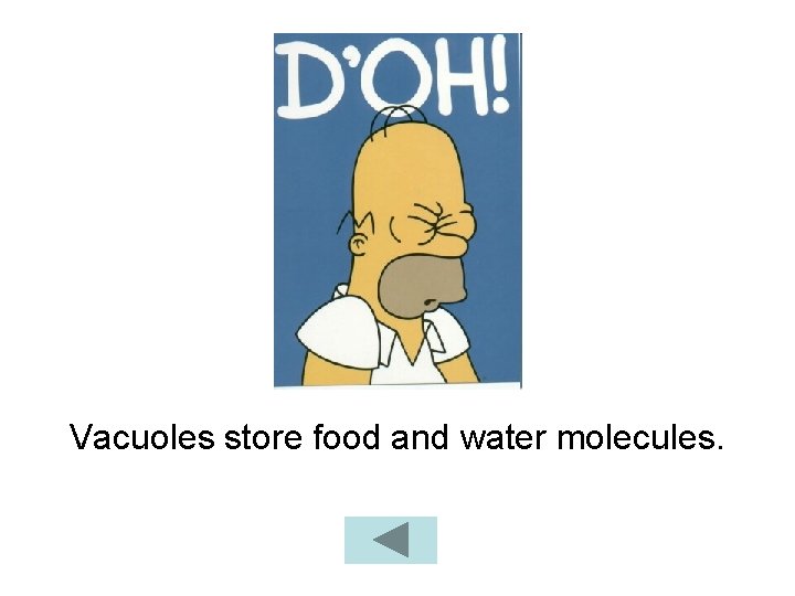 Vacuoles store food and water molecules. 