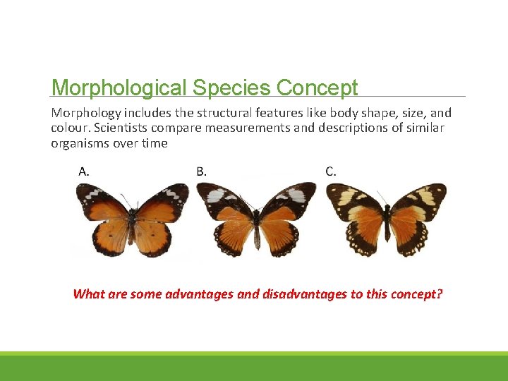 Morphological Species Concept Morphology includes the structural features like body shape, size, and colour.
