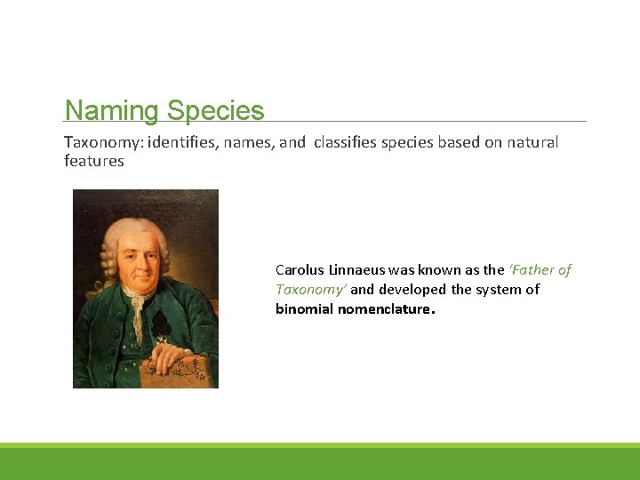 Naming Species Taxonomy: identifies, names, and classifies species based on natural features Carolus Linnaeus