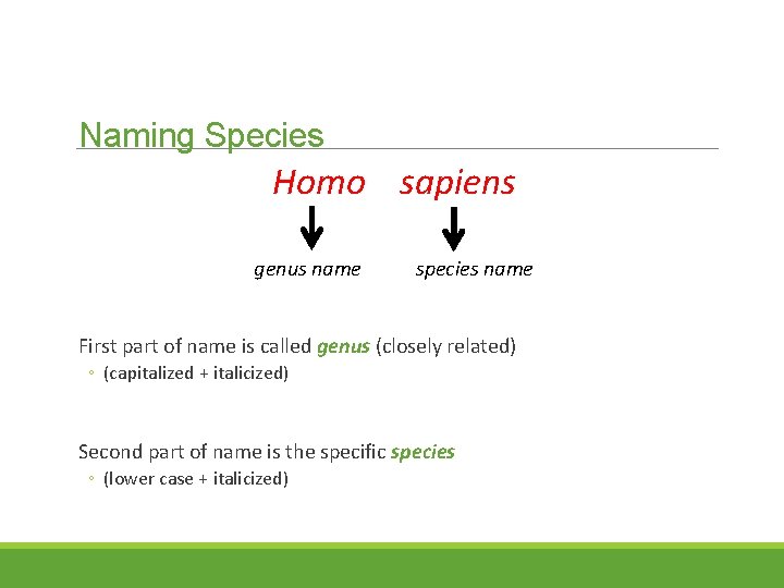 Naming Species Homo sapiens genus name species name First part of name is called