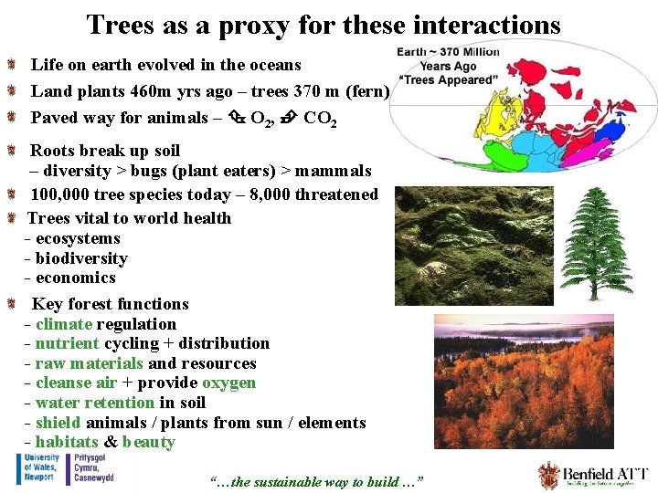 Trees as a proxy for these interactions Life on earth evolved in the oceans