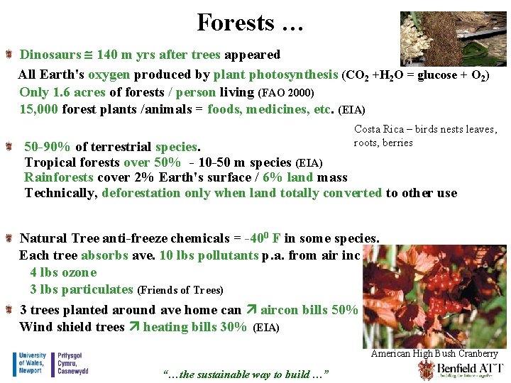 Forests … Dinosaurs 140 m yrs after trees appeared All Earth's oxygen produced by