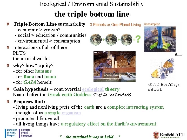 Ecological / Environmental Sustainability the triple bottom line Triple Bottom Line sustainability - economic