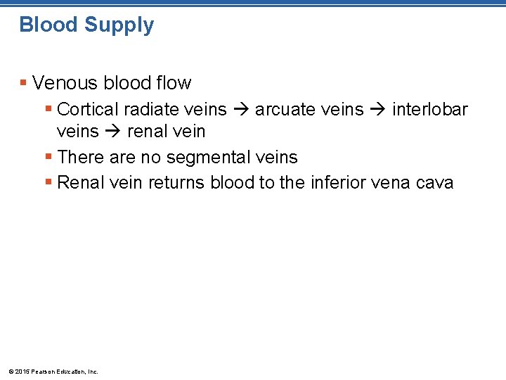 Blood Supply § Venous blood flow § Cortical radiate veins arcuate veins interlobar veins Blood Supply § Venous blood flow § Cortical radiate veins arcuate veins interlobar veins