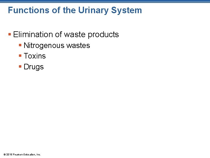 Functions of the Urinary System § Elimination of waste products § Nitrogenous wastes § Functions of the Urinary System § Elimination of waste products § Nitrogenous wastes §