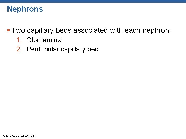 Nephrons § Two capillary beds associated with each nephron: 1. Glomerulus 2. Peritubular capillary Nephrons § Two capillary beds associated with each nephron: 1. Glomerulus 2. Peritubular capillary