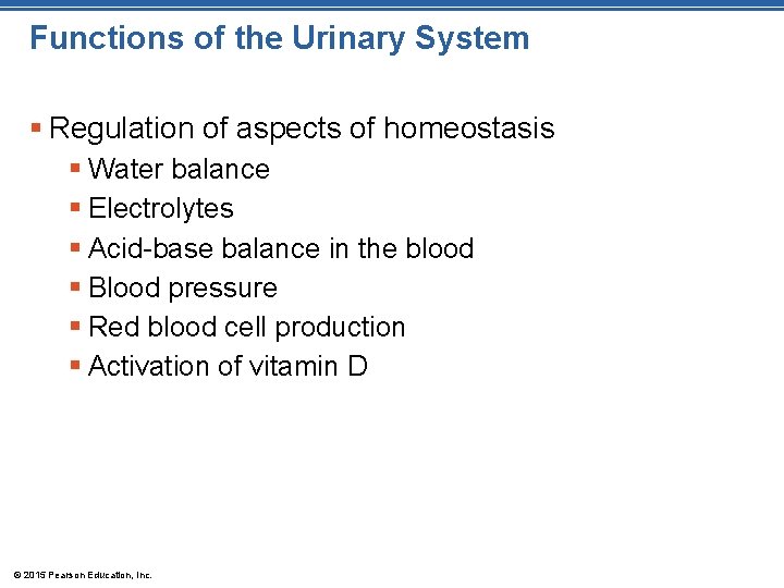 Functions of the Urinary System § Regulation of aspects of homeostasis § Water balance Functions of the Urinary System § Regulation of aspects of homeostasis § Water balance
