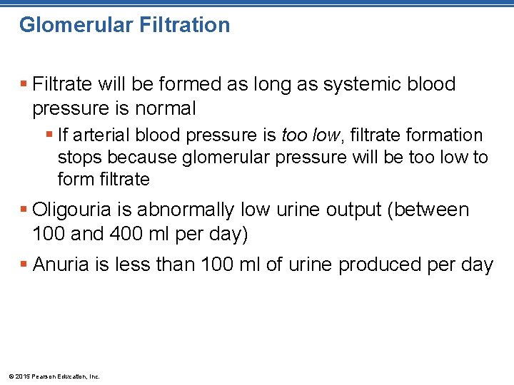 Glomerular Filtration § Filtrate will be formed as long as systemic blood pressure is