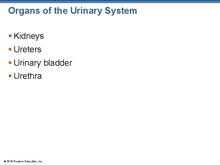 Organs of the Urinary System § Kidneys § Ureters § Urinary bladder § Urethra