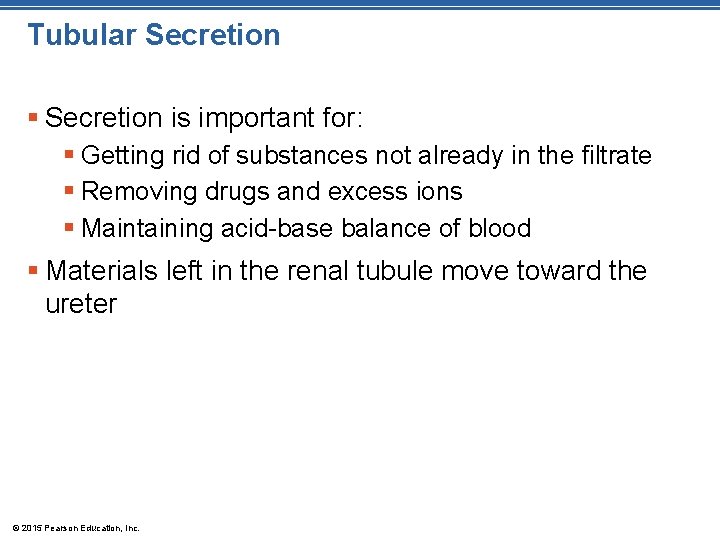 Tubular Secretion § Secretion is important for: § Getting rid of substances not already Tubular Secretion § Secretion is important for: § Getting rid of substances not already