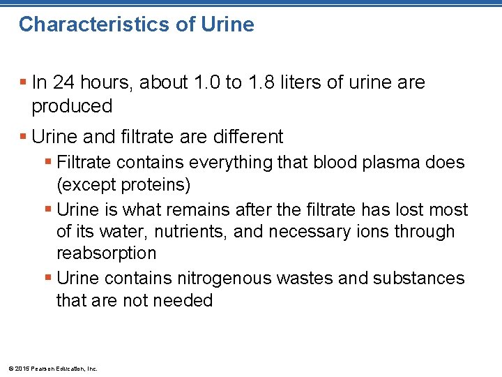 Characteristics of Urine § In 24 hours, about 1. 0 to 1. 8 liters Characteristics of Urine § In 24 hours, about 1. 0 to 1. 8 liters