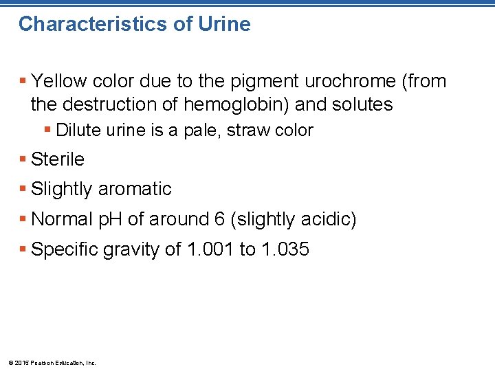 Characteristics of Urine § Yellow color due to the pigment urochrome (from the destruction Characteristics of Urine § Yellow color due to the pigment urochrome (from the destruction