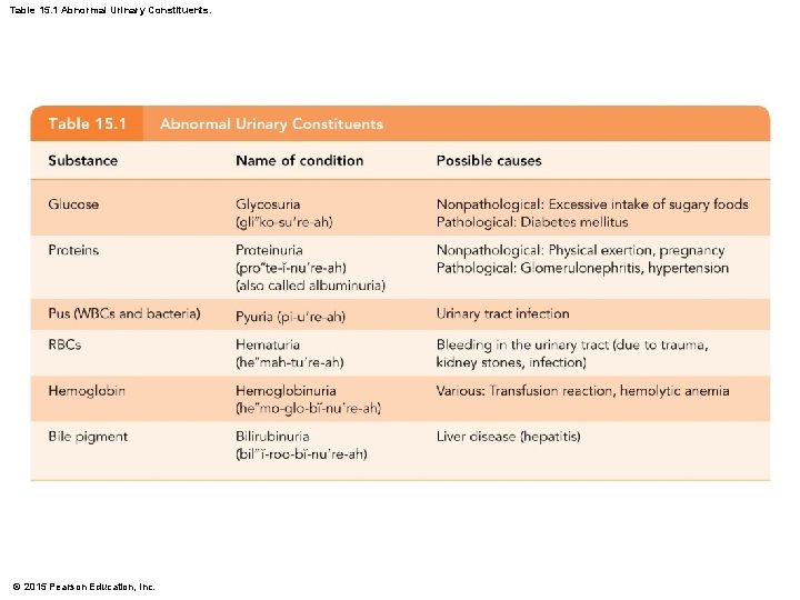 Table 15. 1 Abnormal Urinary Constituents. © 2015 Pearson Education, Inc. Table 15. 1 Abnormal Urinary Constituents. © 2015 Pearson Education, Inc.
