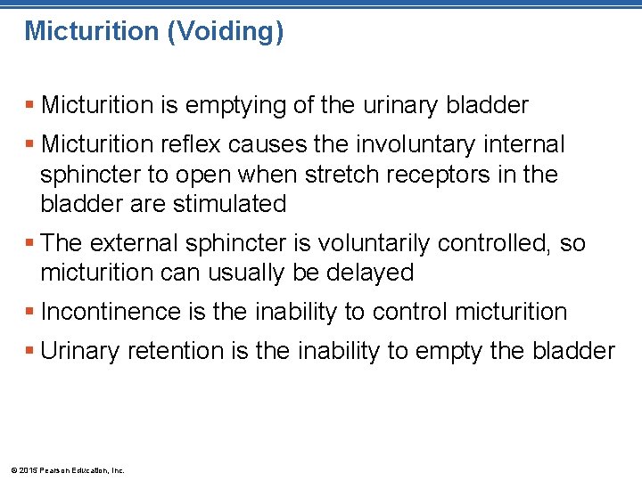 Micturition (Voiding) § Micturition is emptying of the urinary bladder § Micturition reflex causes