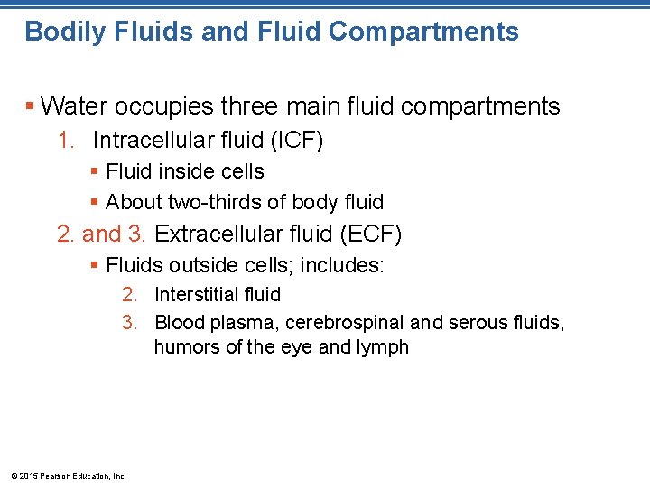 Bodily Fluids and Fluid Compartments § Water occupies three main fluid compartments 1. Intracellular Bodily Fluids and Fluid Compartments § Water occupies three main fluid compartments 1. Intracellular