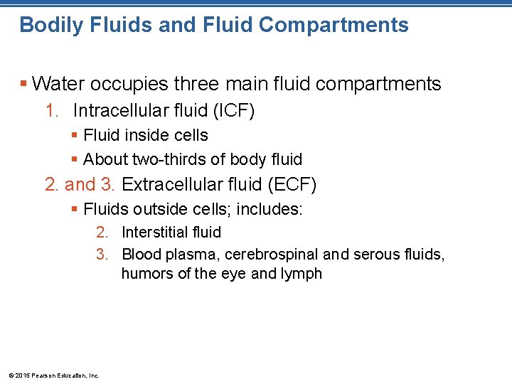 Bodily Fluids and Fluid Compartments § Water occupies three main fluid compartments 1. Intracellular