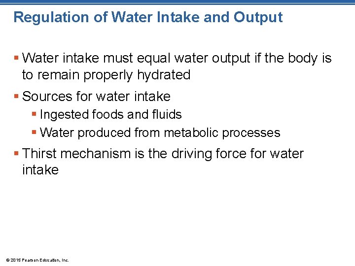 Regulation of Water Intake and Output § Water intake must equal water output if