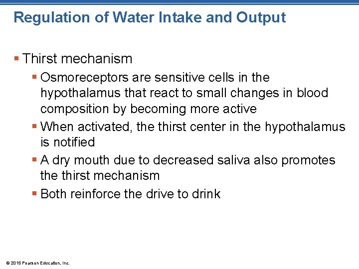Regulation of Water Intake and Output § Thirst mechanism § Osmoreceptors are sensitive cells Regulation of Water Intake and Output § Thirst mechanism § Osmoreceptors are sensitive cells