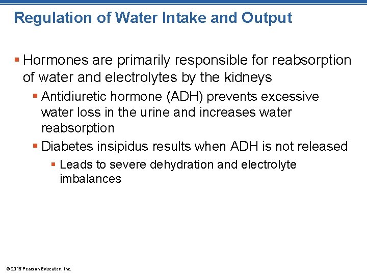 Regulation of Water Intake and Output § Hormones are primarily responsible for reabsorption of
