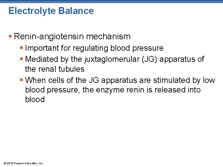 Electrolyte Balance § Renin-angiotensin mechanism § Important for regulating blood pressure § Mediated by