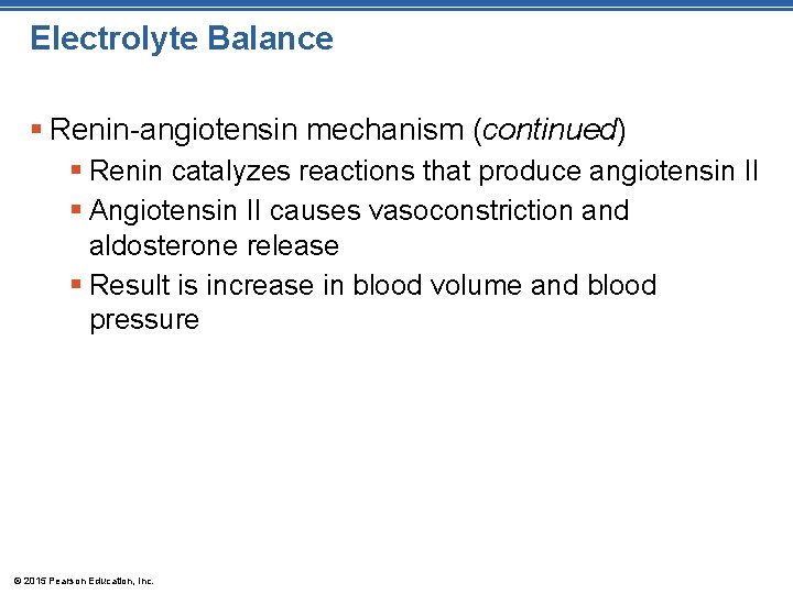 Electrolyte Balance § Renin-angiotensin mechanism (continued) § Renin catalyzes reactions that produce angiotensin II