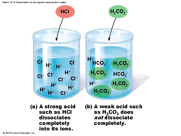 Figure 15. 13 Dissociation of strong and weak acids in water. H 2 CO