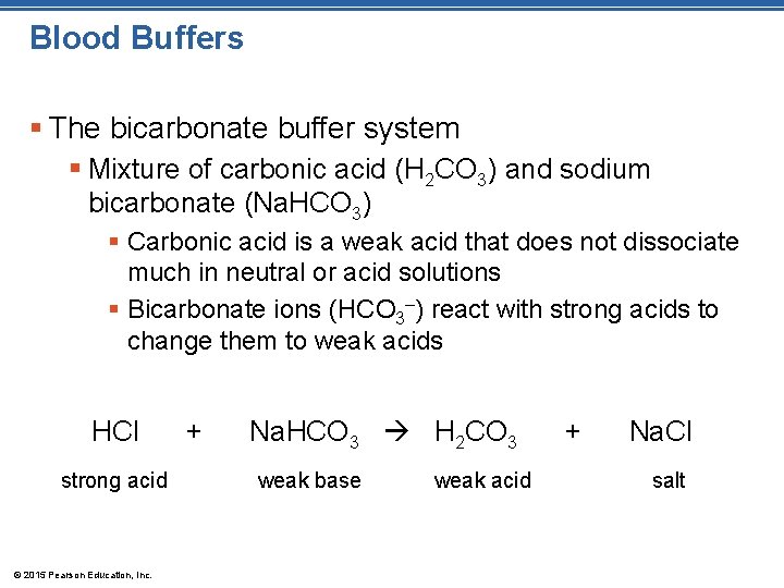 Blood Buffers § The bicarbonate buffer system § Mixture of carbonic acid (H 2