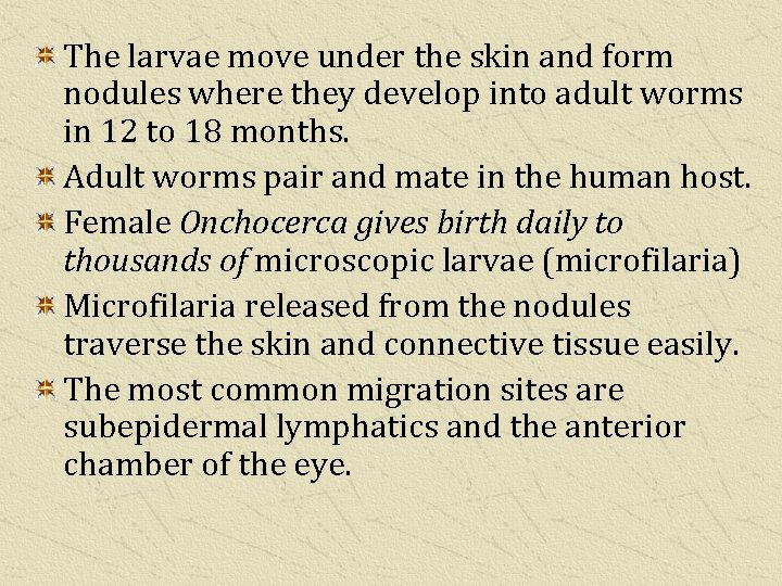 The larvae move under the skin and form nodules where they develop into adult