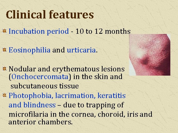 Clinical features Incubation period - 10 to 12 months Eosinophilia and urticaria. Nodular and