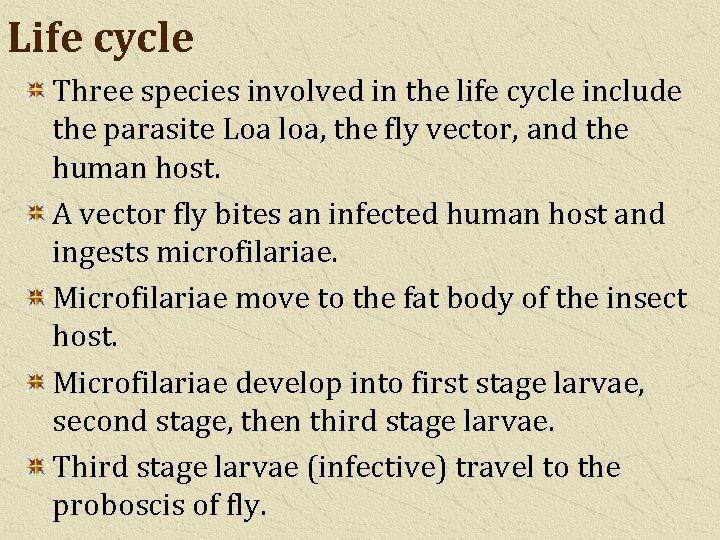 Life cycle Three species involved in the life cycle include the parasite Loa loa,