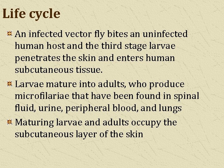 Life cycle An infected vector fly bites an uninfected human host and the third