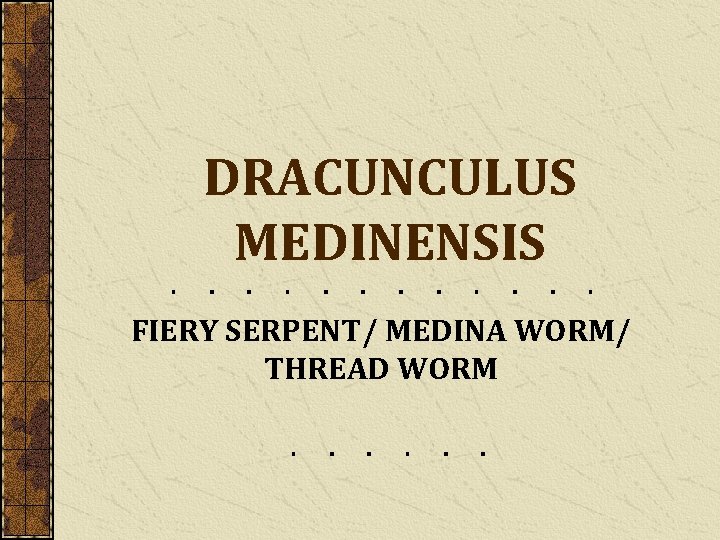 DRACUNCULUS MEDINENSIS FIERY SERPENT/ MEDINA WORM/ THREAD WORM 