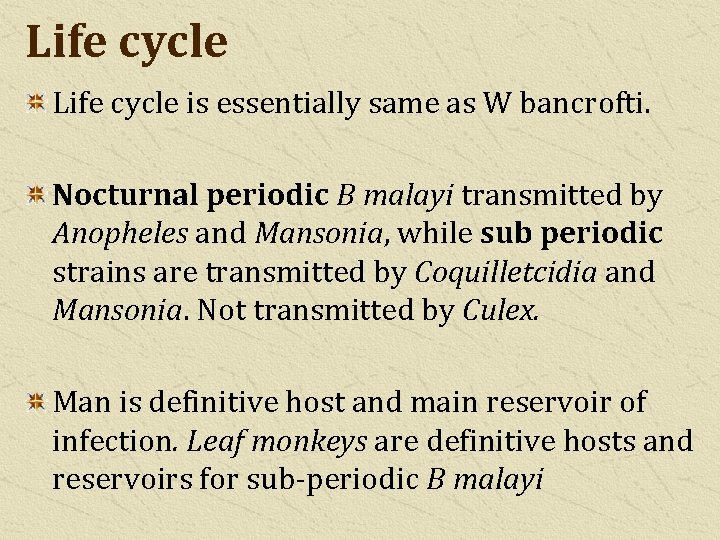 Life cycle is essentially same as W bancrofti. Nocturnal periodic B malayi transmitted by