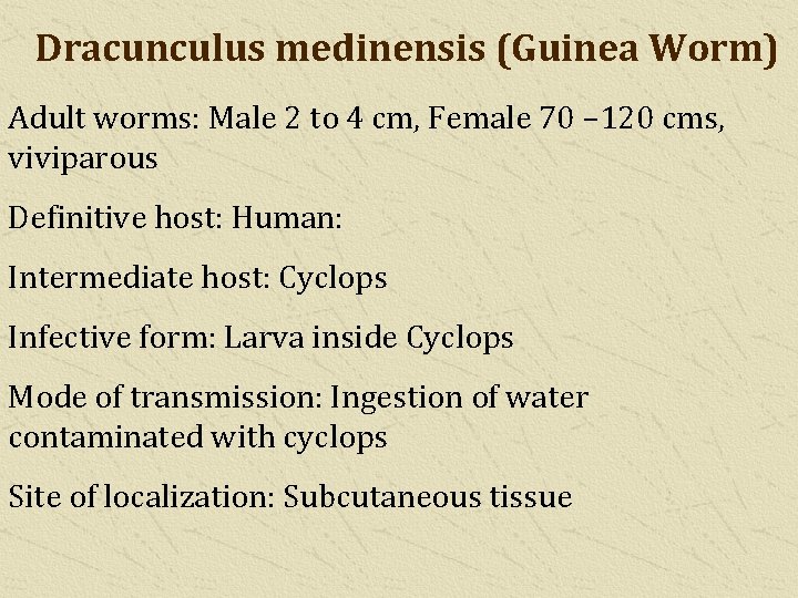 Dracunculus medinensis (Guinea Worm) Adult worms: Male 2 to 4 cm, Female 70 –