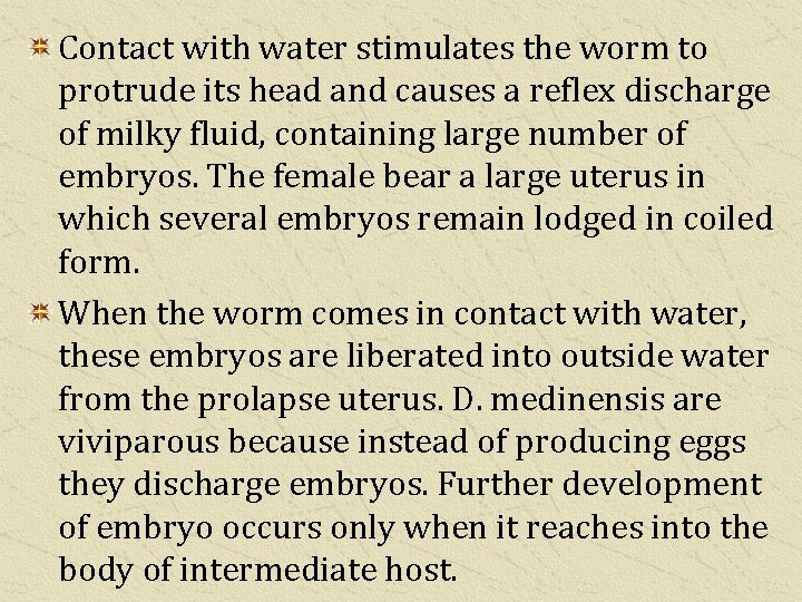 Contact with water stimulates the worm to protrude its head and causes a reflex