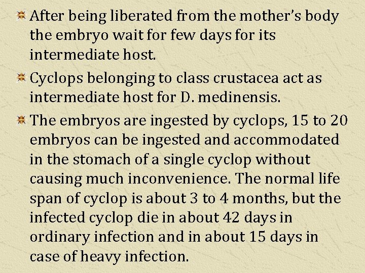 After being liberated from the mother’s body the embryo wait for few days for