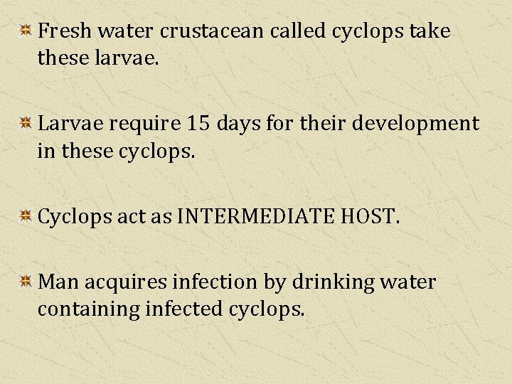 Fresh water crustacean called cyclops take these larvae. Larvae require 15 days for their